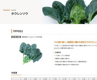 YPP051の画像