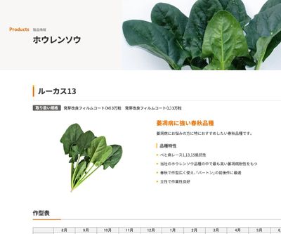 ルーカス13の画像