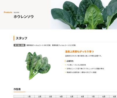 スタッフの画像