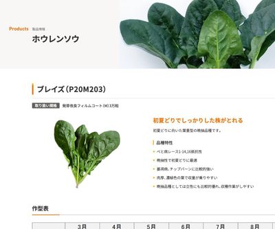 ブレイズ（P20M203）の画像