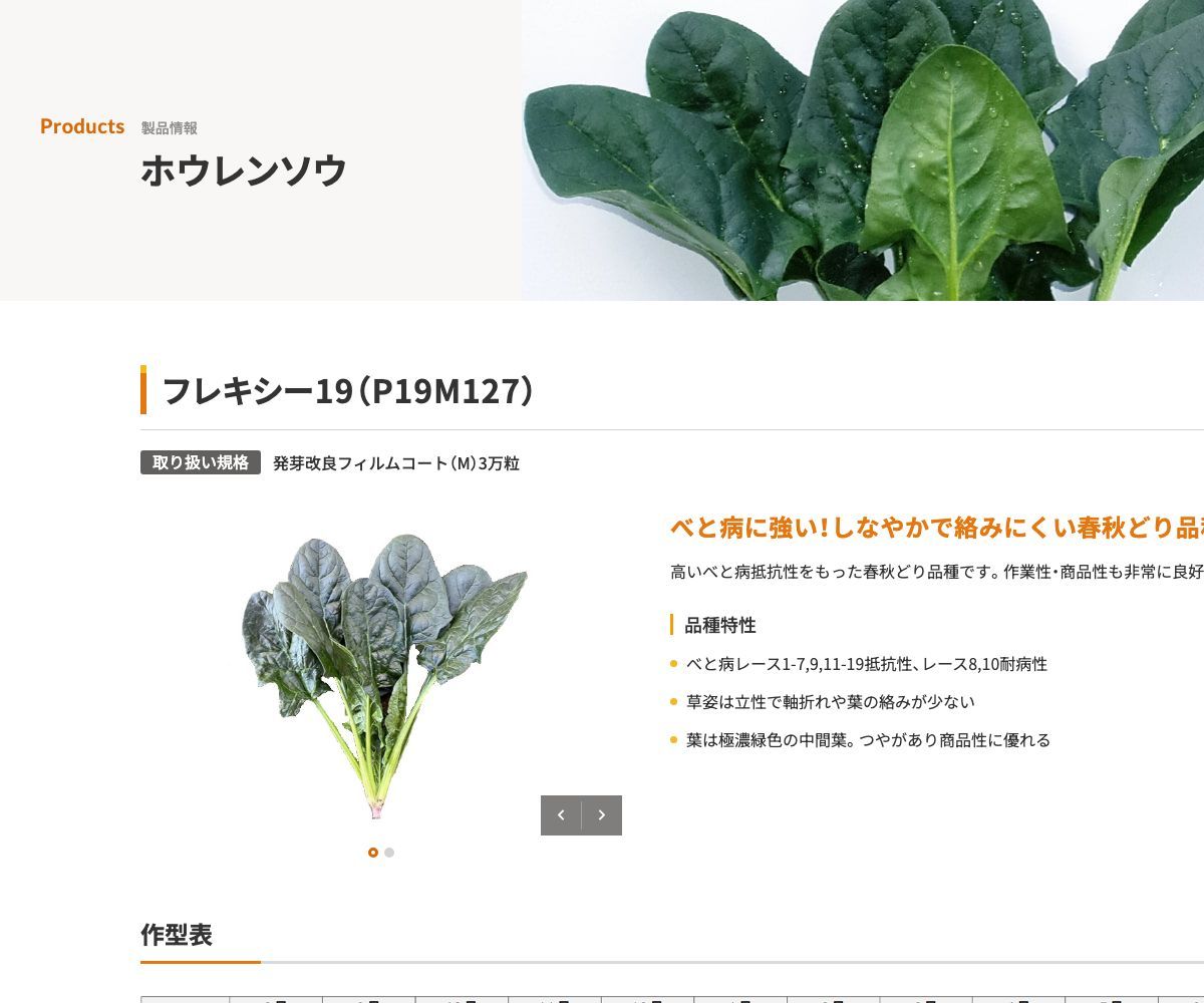 フレキシー19（P19M127）