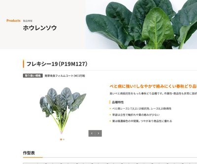 フレキシー19（P19M127）の画像