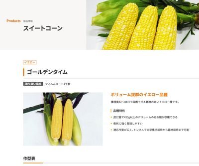 ゴールデンタイムの画像