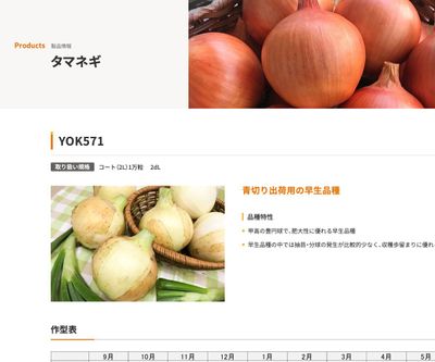 YOK571の画像
