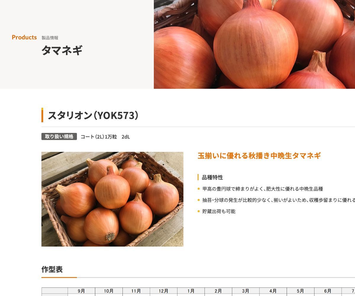 スタリオン（YOK573）