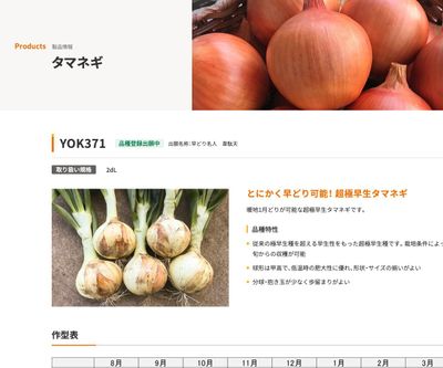 YOK371の画像