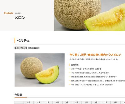 ベルチェの画像