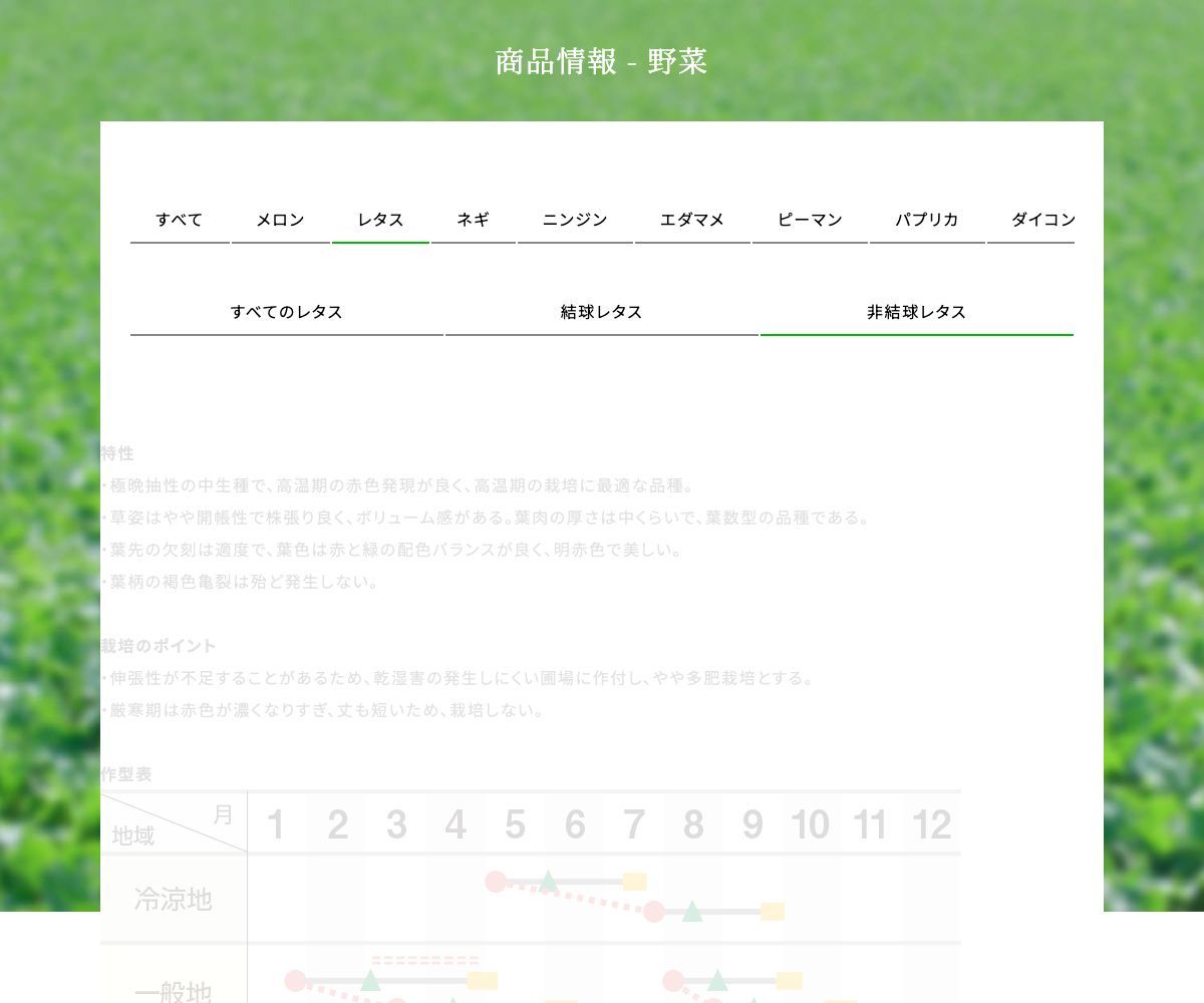 晩抽サーフレッド