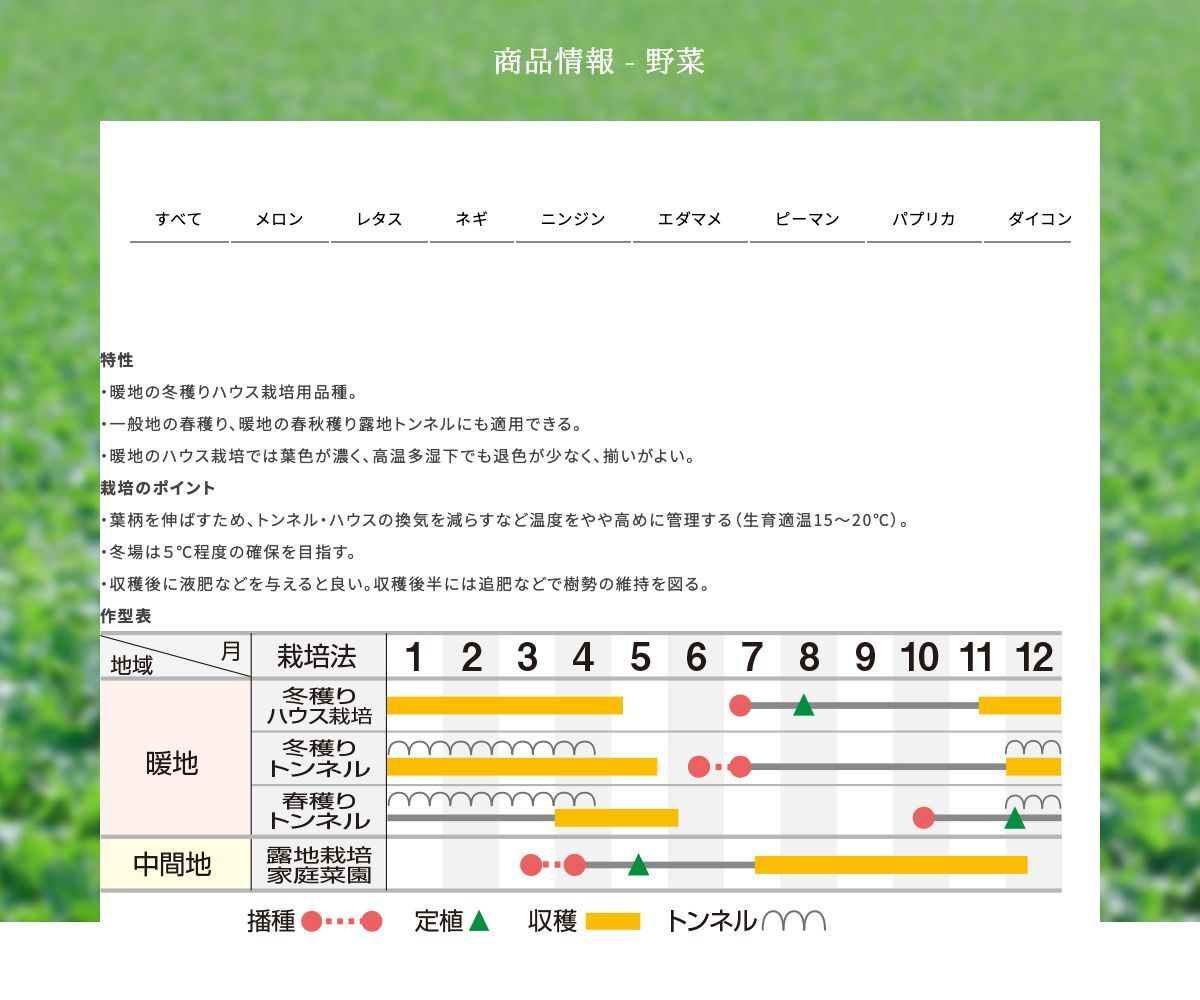 改良ＵＳパラマウント