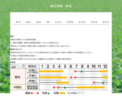 改良ＵＳパラマウントの画像