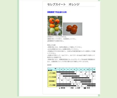 セレブスイート オレンジの画像