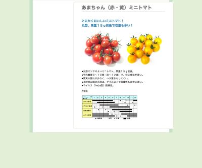 あまちゃん（赤・黄）ミニトマトの画像
