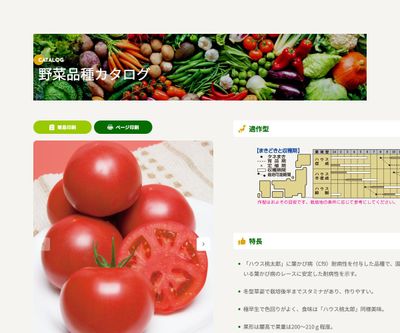 CFハウス桃太郎の画像