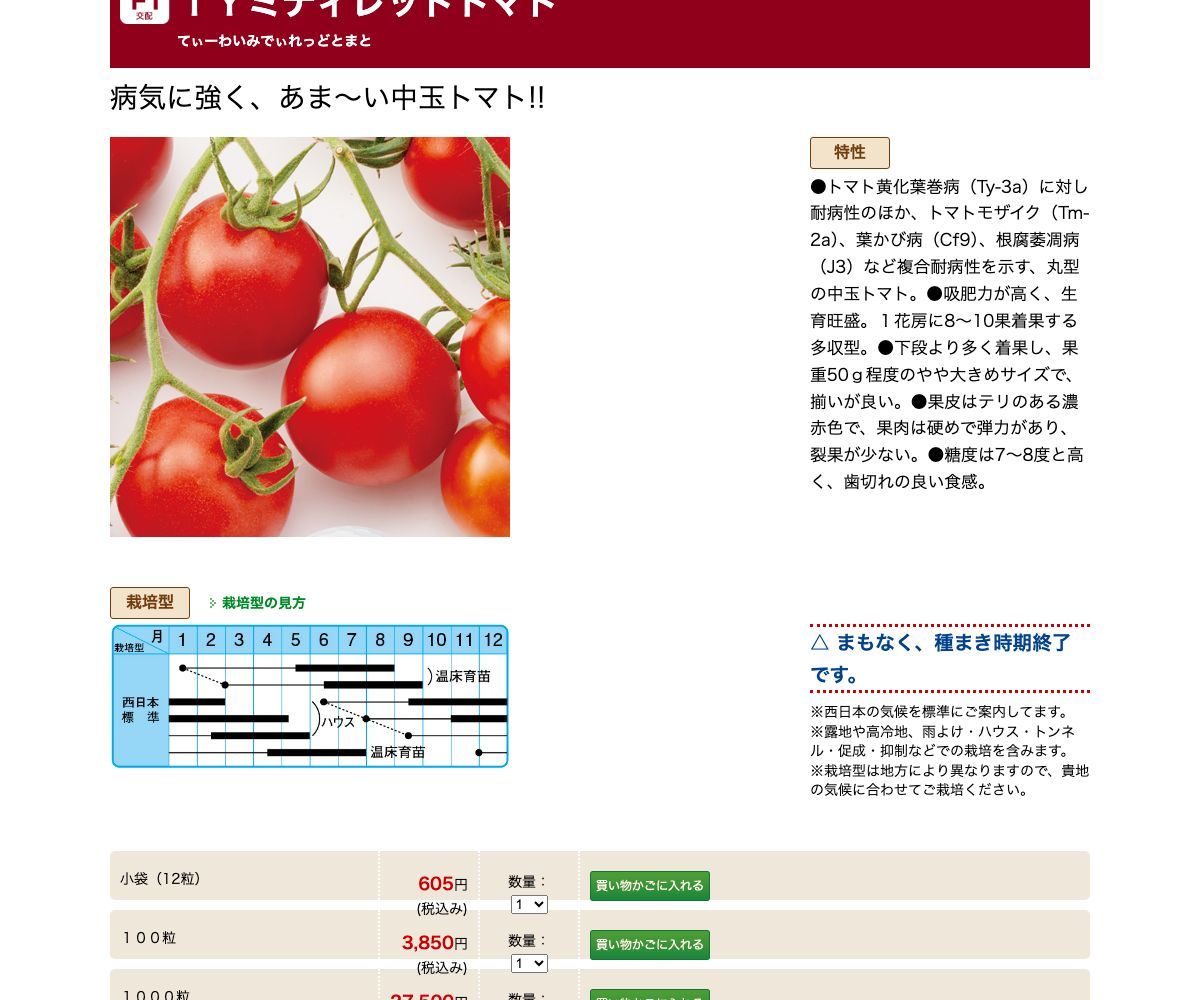 TYミディレッドトマト