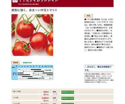 ＴＹミディレッドトマトの画像