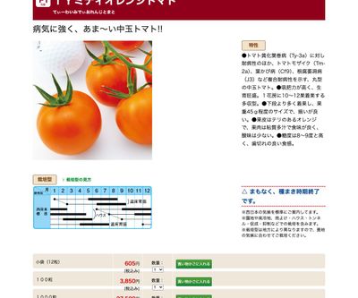 ＴＹミディオレンジトマトの画像