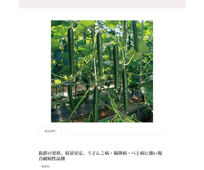 プレストの画像