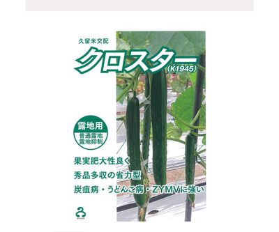 クロスター（K1945）の画像