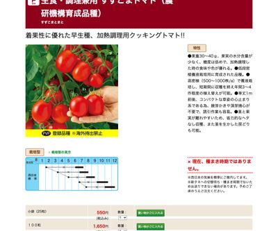 生食・調理兼用 すずこまトマトの画像