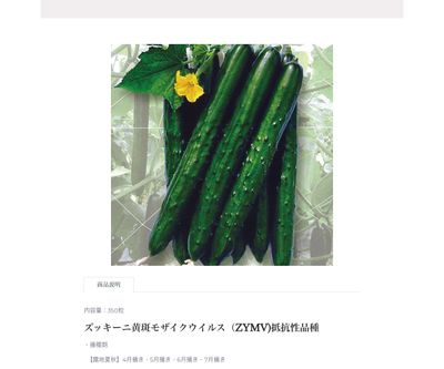 久留米きゅう太郎の画像