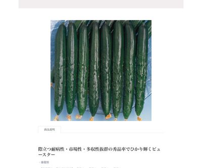 ビュースターの画像