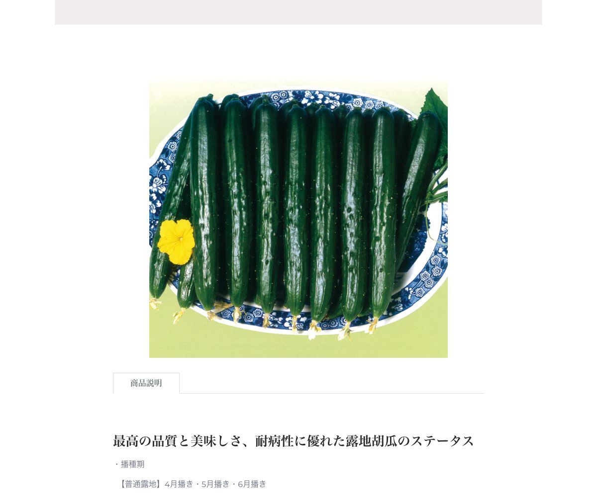 ステ－タス夏Ⅲ