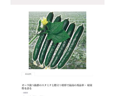 オーラ２号の画像