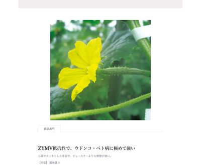 ビュースター９３５の画像