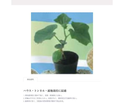 ハウスドン・Kの画像