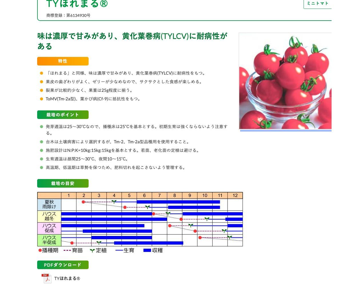 TYほれまる®