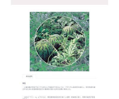 ＦＲダッカの画像