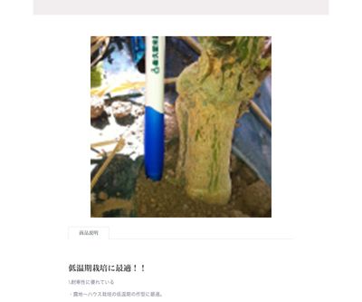 ビッグアイの画像