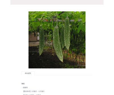 ゴーヤ1号の画像