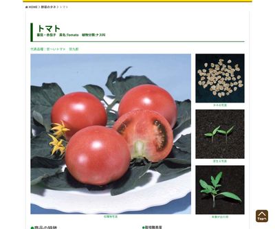 甘九郎 ®の画像