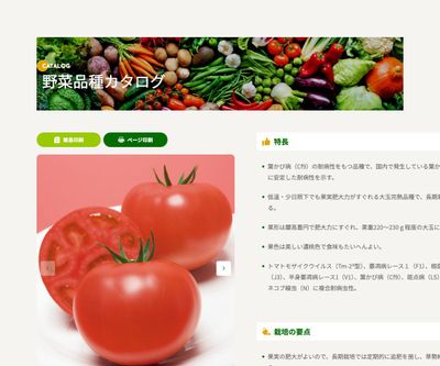 CF桃太郎Jの画像