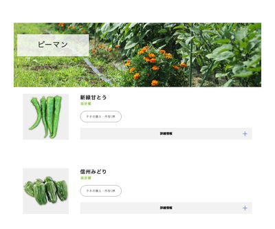 甘とうがらし（自農系）の画像