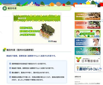 飯田冬菜の画像