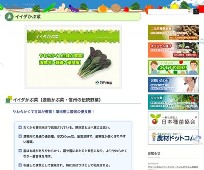 イイダかぶ菜の画像