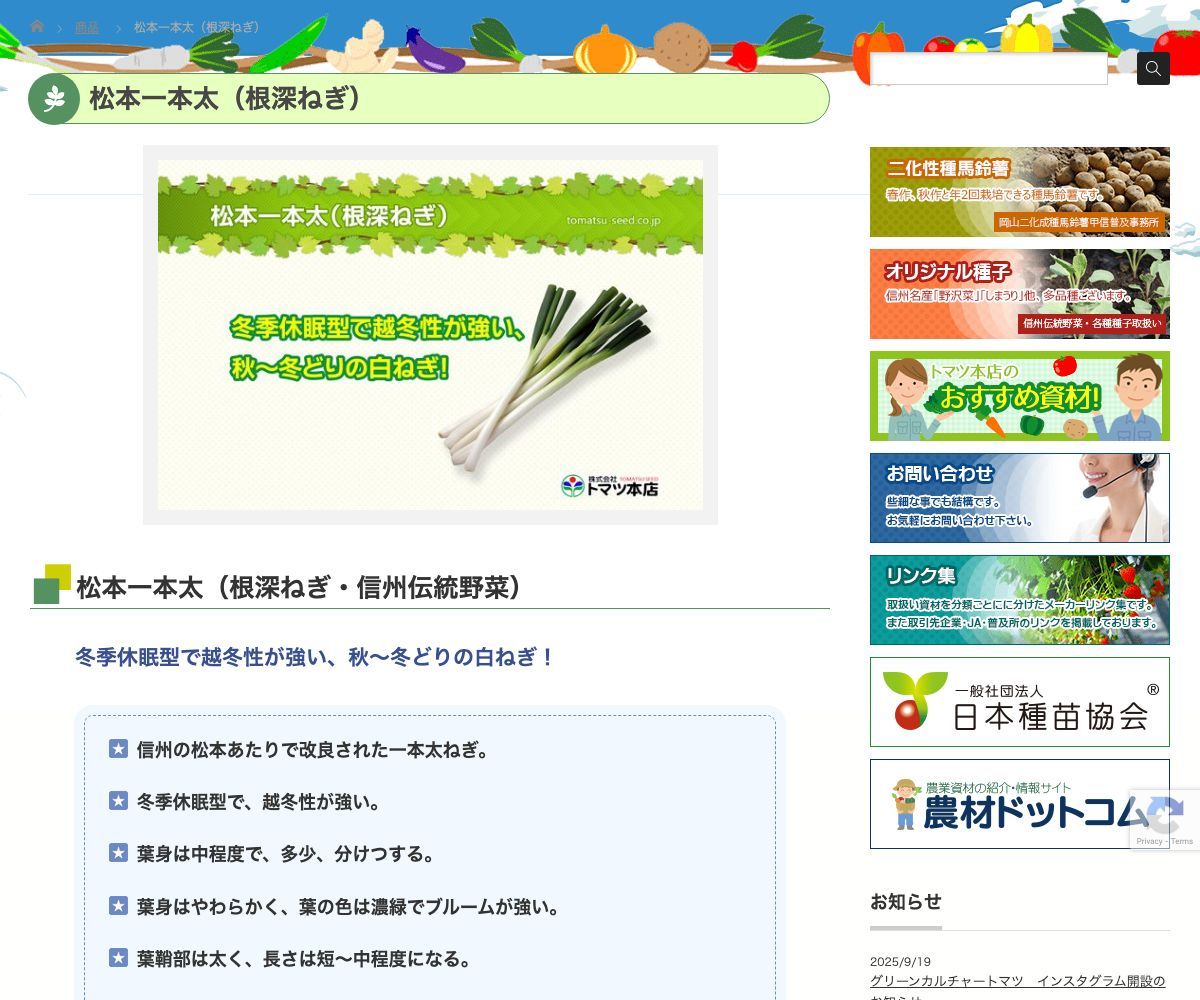 松本一本太（根深ねぎ）