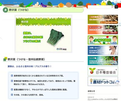 野沢菜（つけな）の画像