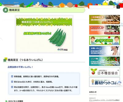 穂高菜豆の画像