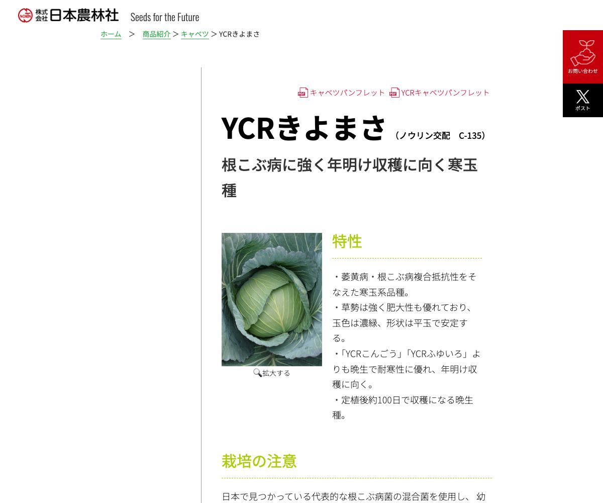 YCRきよまさ
