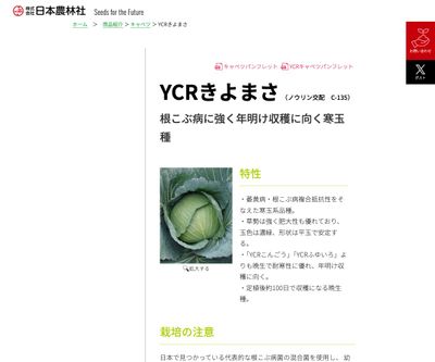 YCRきよまさの画像