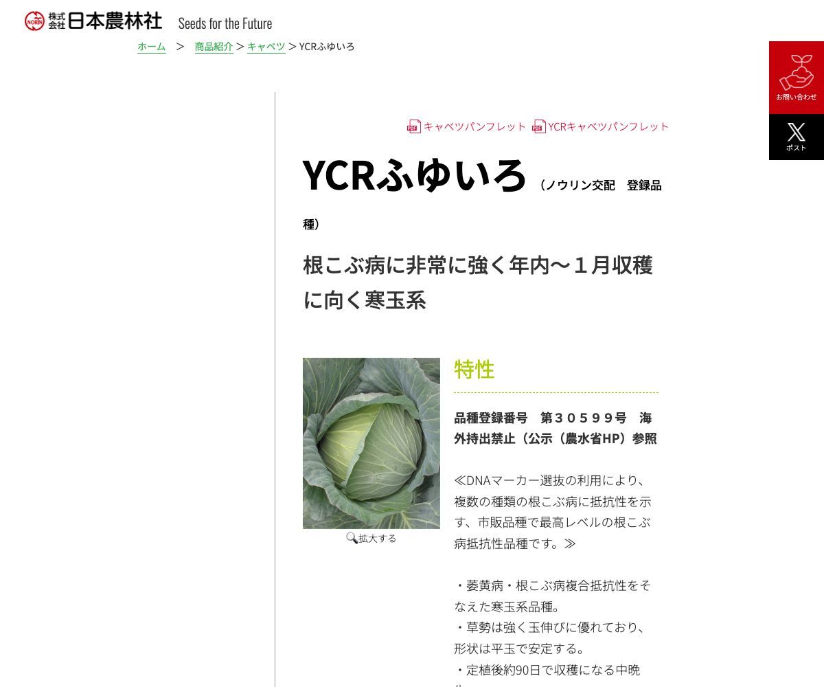 YCRふゆいろ