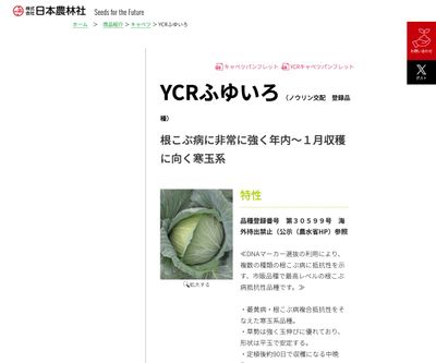 YCRふゆいろの画像