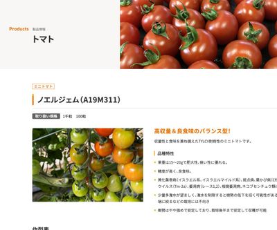 ノエルジェム（A19M311）の画像