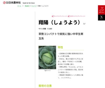 翔陽（しょうよう）の画像