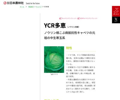 YCR多恵の画像