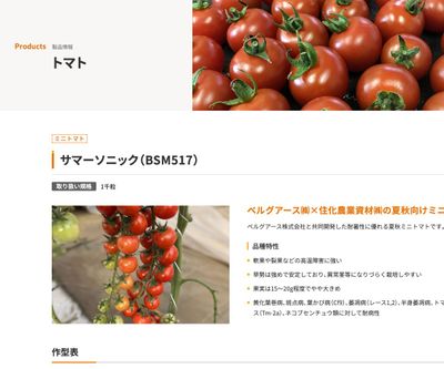 サマーソニック（BSM517）の画像