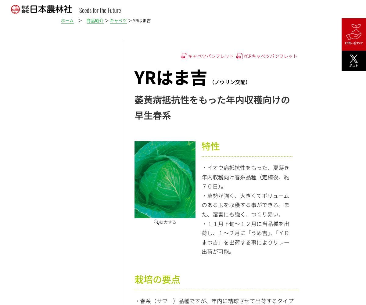 YRはま吉
